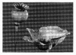 Bild01